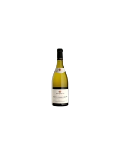 Bouchard Père & Fils Corton-Charlemagne Grand Cru 2016