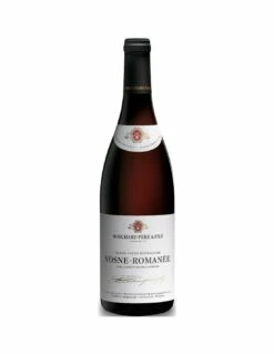 Bouchard Père & Fils Vosne-Romanée Village 2019