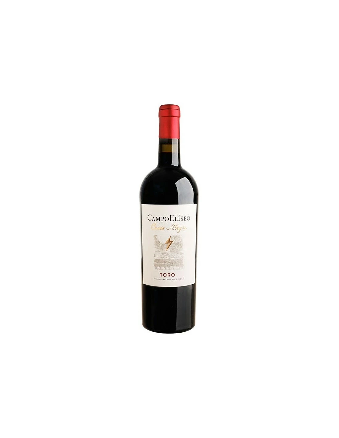 Campo Eliseo Cuvée Alegre Tinto 2019 1 Campo Eliseo Cuvée Alegre Tinto 2019