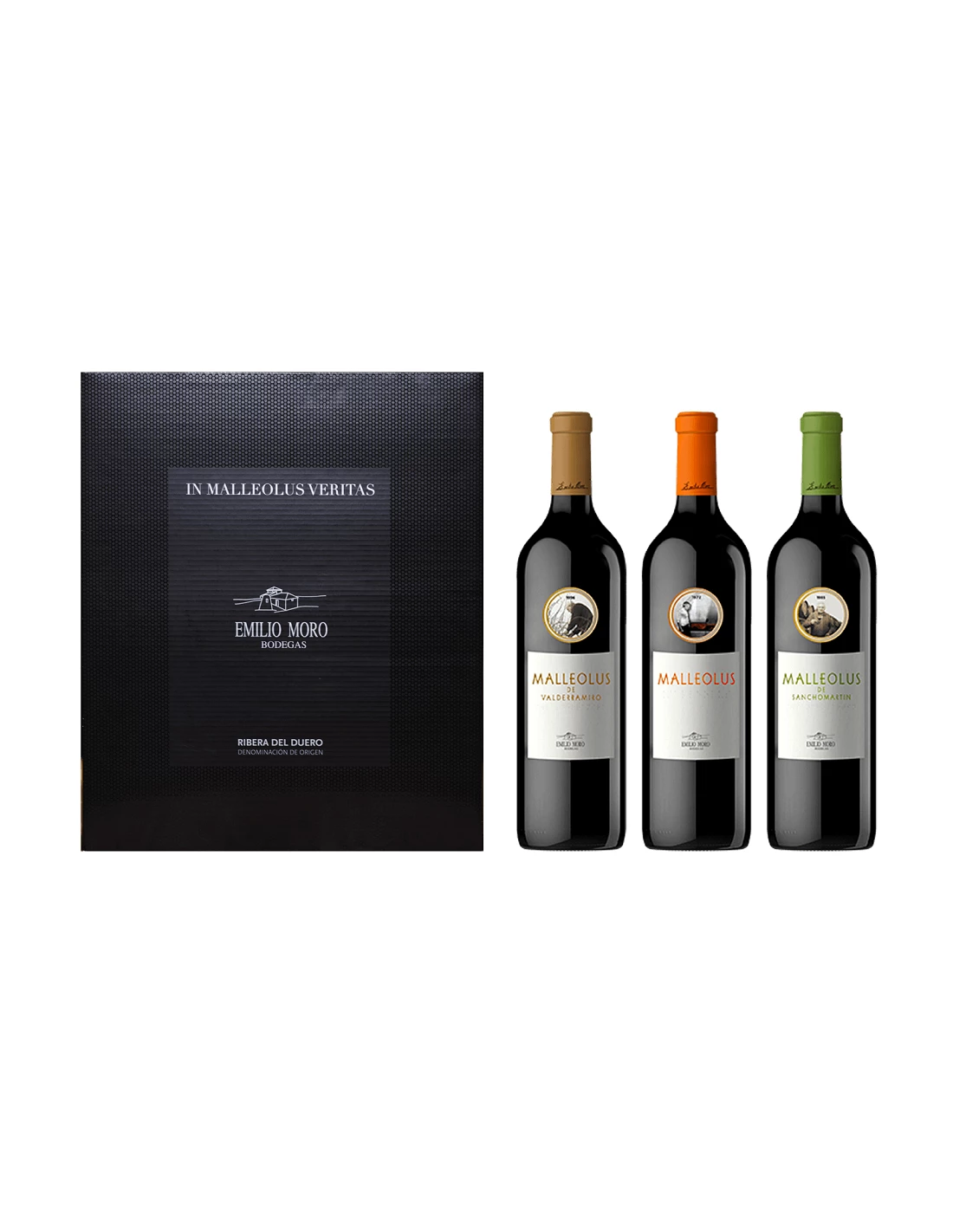 Estuche In Malleolus Veritas 1 Estuche In Malleolus Veritas