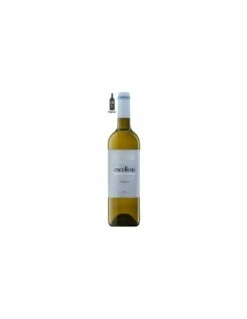 Marqués De Cáceres Excellens Verdejo Magnum 2021