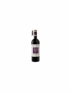 Paso A Paso Tempranillo Magnum 2021