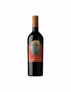 Peñalolen Cabernet Sauvignon 2018