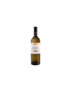 Proventus Blanco Alvarinho 2021