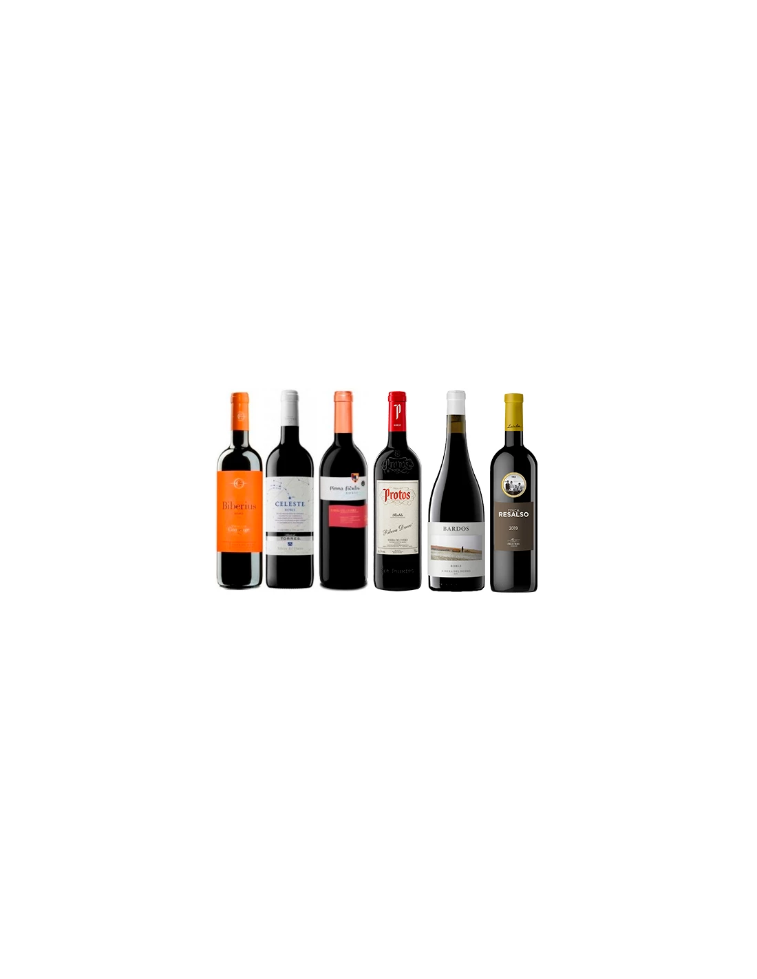 Robles De Ribera Del Duero