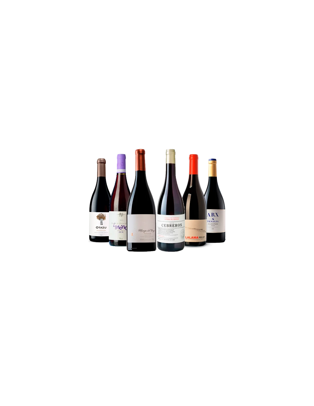 Ruta Vinos Diferentes DO Por Conocer 1 Ruta Vinos Diferentes DO Por Conocer