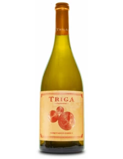 Triga Blanco 2022