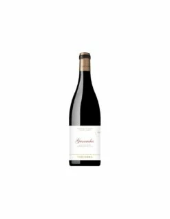 Vizcarra Garnacha 2018