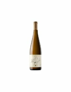 Waltraud Riesling 2022